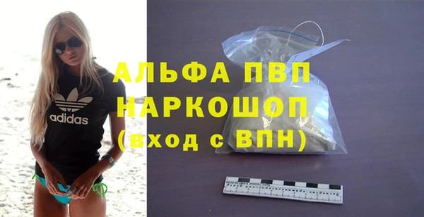 стаф Алексин