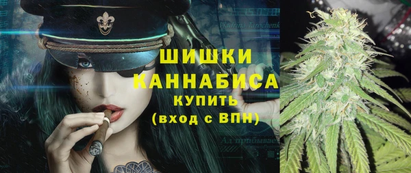 PSILOCYBIN Алзамай