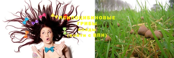герыч Пестово