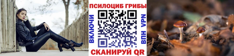 Псилоцибиновые грибы MAGIC MUSHROOMS  МЕГА рабочий сайт  Перевоз 